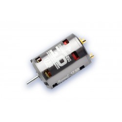 MOTORE Speed Passion , 1/10 Competition MMM series 17.5R Brushless Motor ,  138175V3